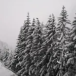 Berghaus Glockner, Niedermeyer Daire