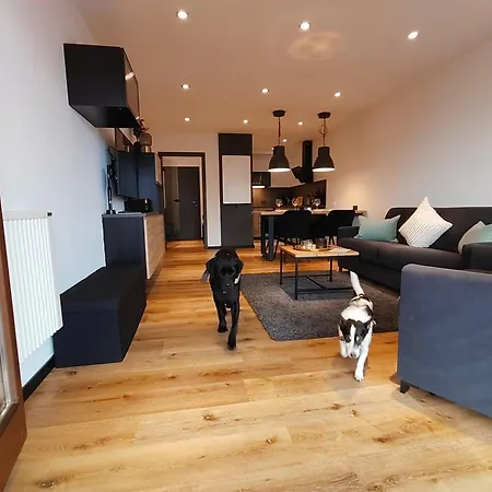 Berghaus Glockner, Niedermeyer Apartman