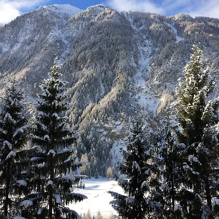 Berghaus Glockner, Niedermeyer Lejlighed *