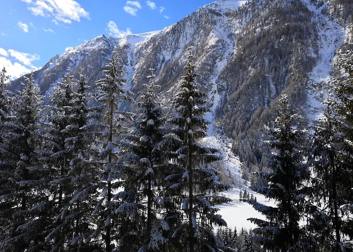 Berghaus Glockner, Niedermeyer Apartment *
